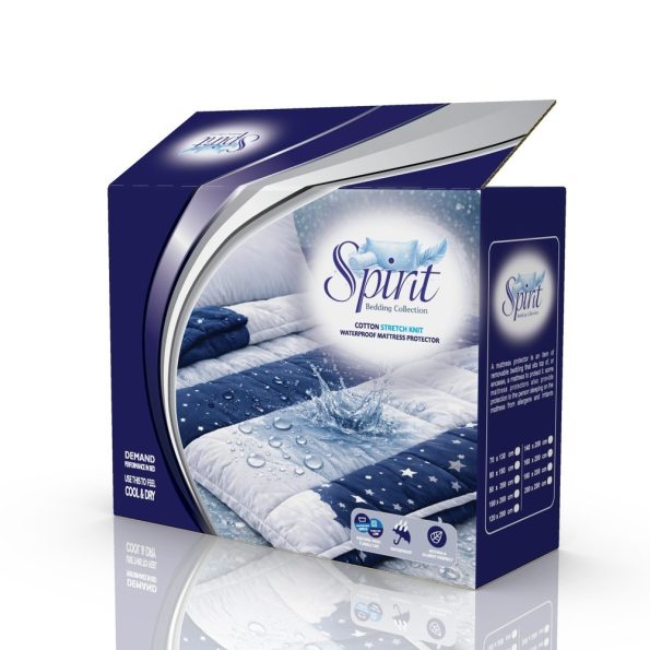 1 – spirit 1